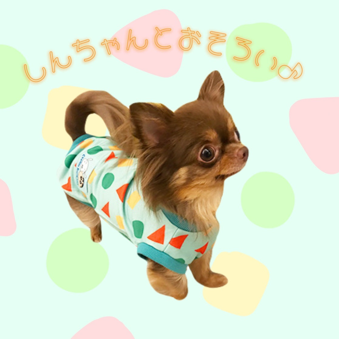 ペットTシャツ パジャマ