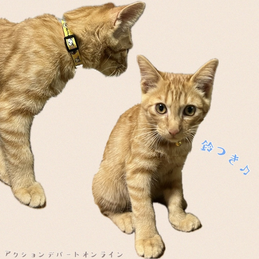ネコ首輪 なりきりしんちゃん Sサイズ/Mサイズ