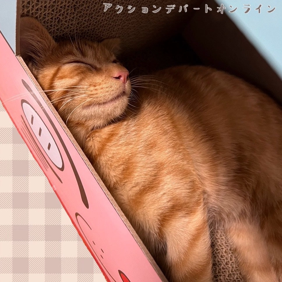 猫用爪とぎ 幼稚園バス KY2693