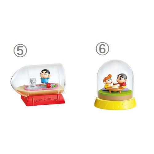 テラリウム まいにちがたのしいゾ RTKYRM08