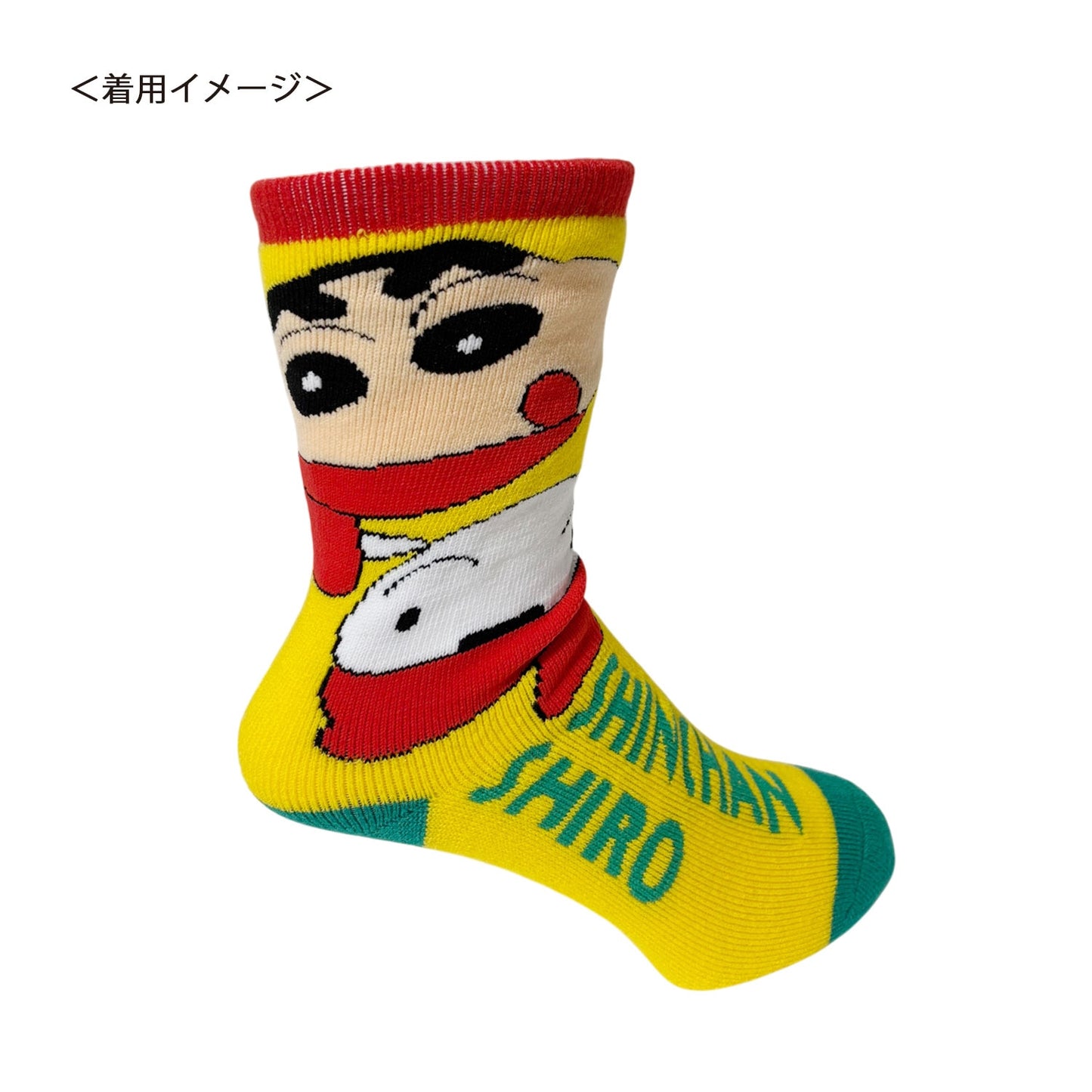 ぽかぽかルームソックス スター／シロのしんのすけ／しんのすけとシロ